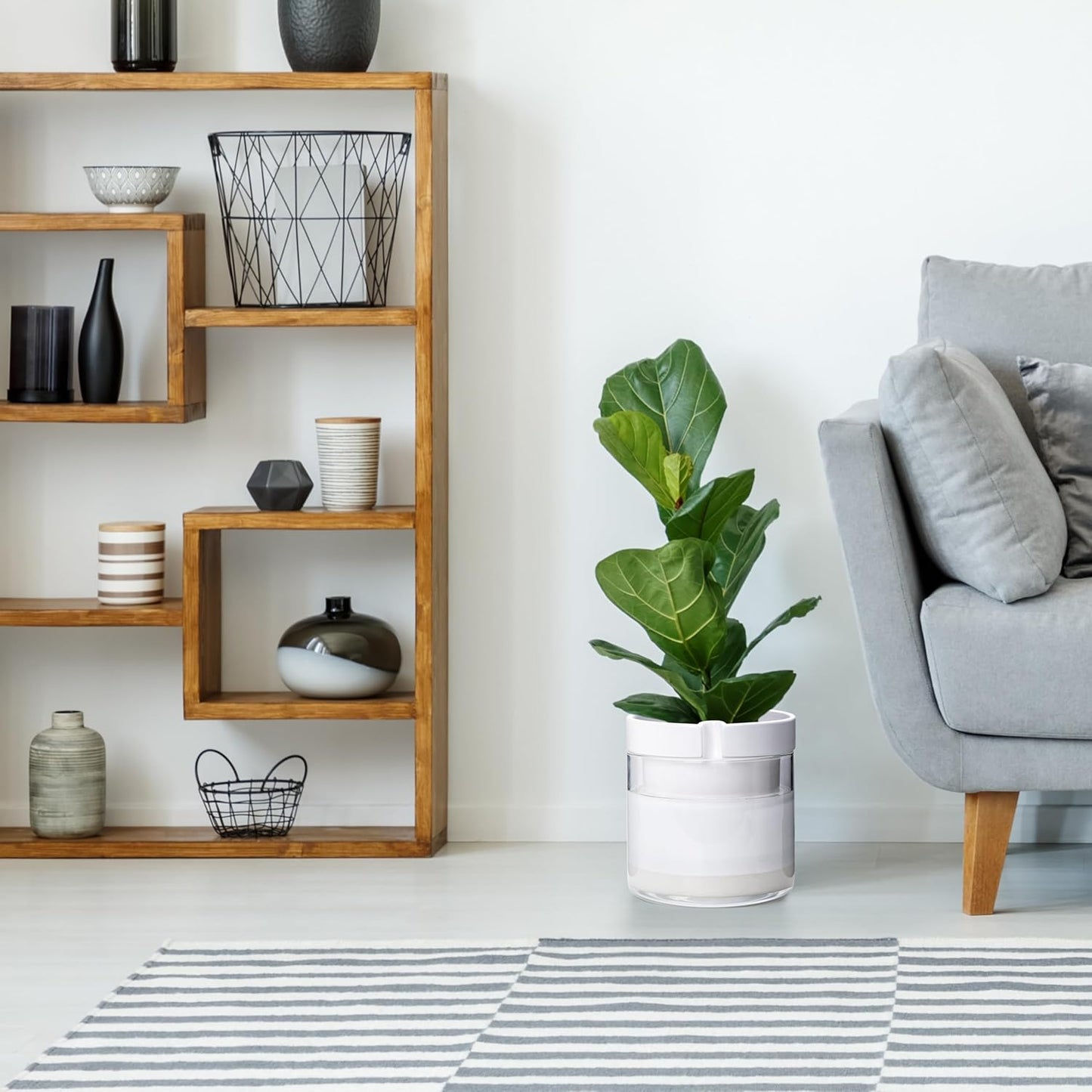 Phoenix Vine 8 Inch Self Watering Planter, White Terracotta Clay Pot with Glass Reservoir for Indoor Plants, Herbs, Flowers, Set of 1, 52-B-H-1