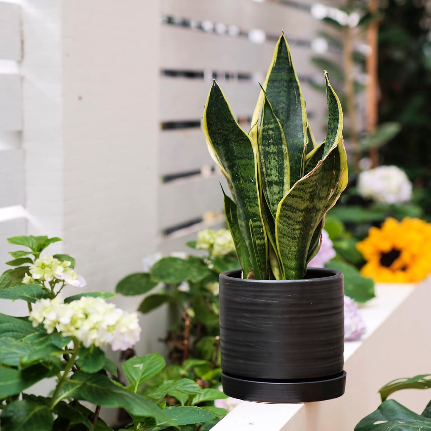 6 + 8 Inch Plant Pots, Ceramic Planter Pot with Drainage Hole & Saucer, Indoor/Outdoor Cylinder Round Planter Pot, Matte Black
