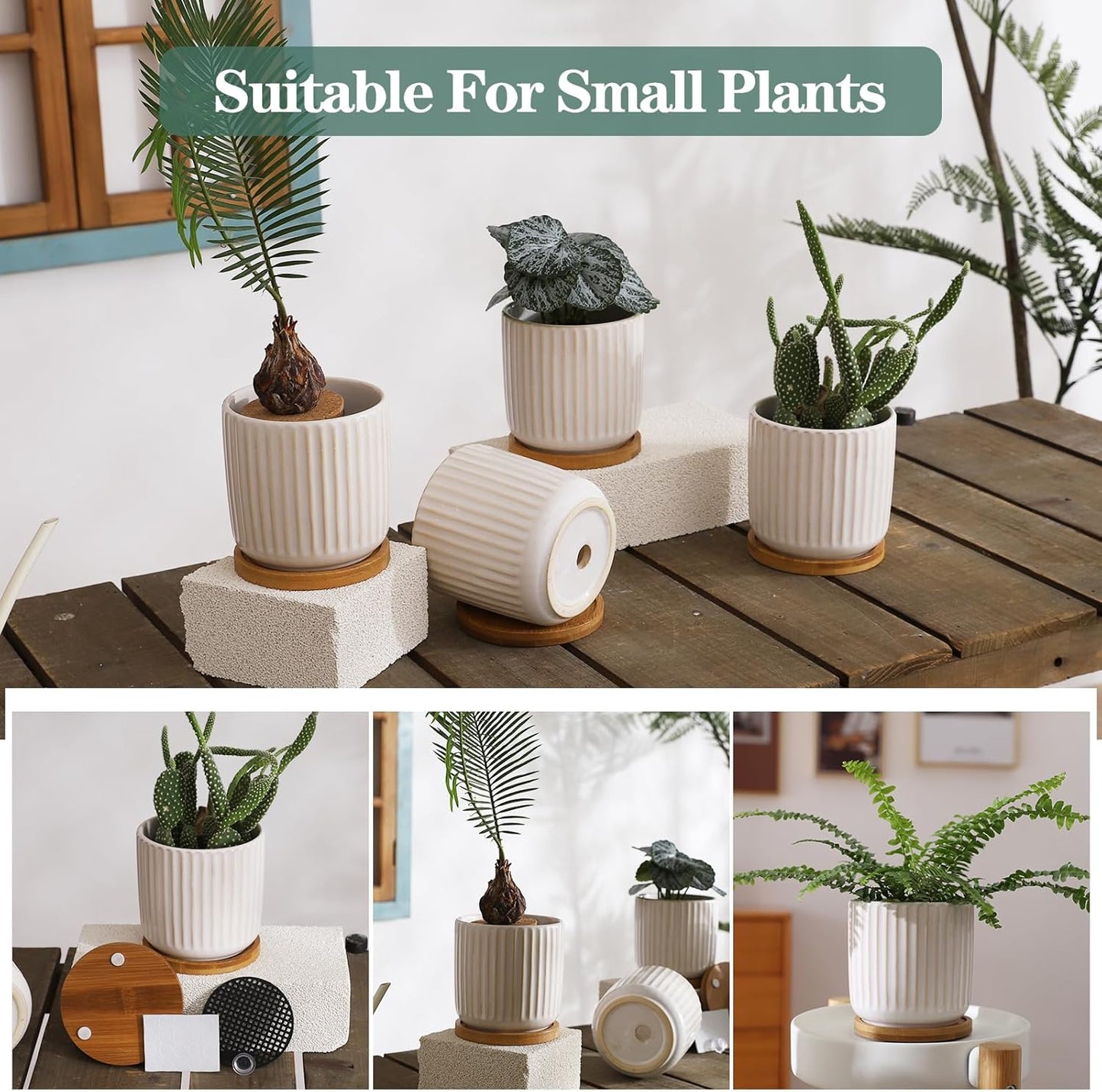 TAMAYKIM 4 Inch Ceramic Plant Pots with Drainage Holes, Modern Flower Planter with Saucer for Indoor Plants, Succulent, Cactus & Herbs, White, Set of 4 (Plants Not Included)