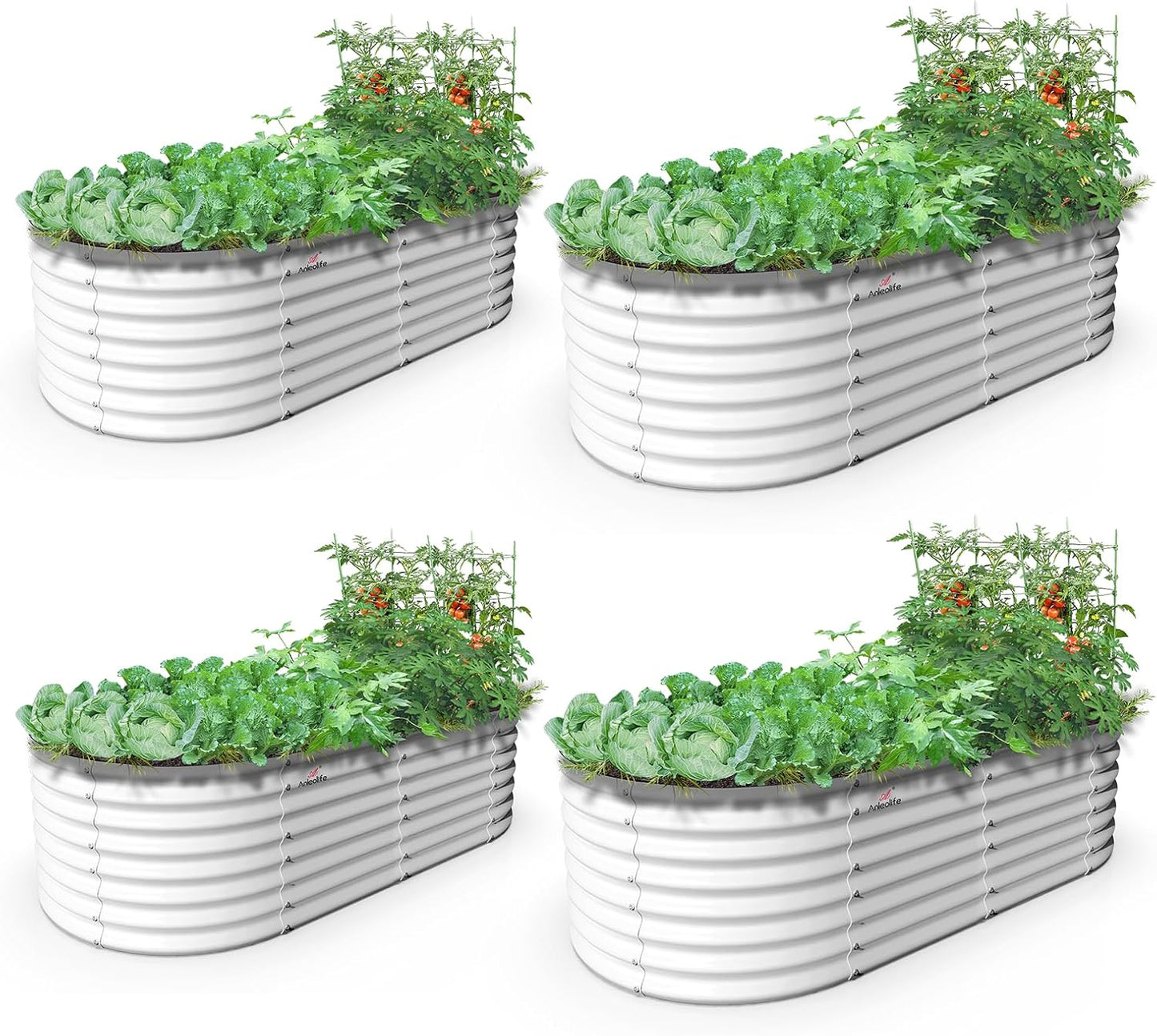 A ANLEOLIFE 6X3X2 ft Galvanized Raised Garden Beds Outdoor-4 Pack, Oval Large Metal Deep Root Planter Box for Planting Vegetables Flowers Herb, Anti-Rust & Easy-Setup, Antique White