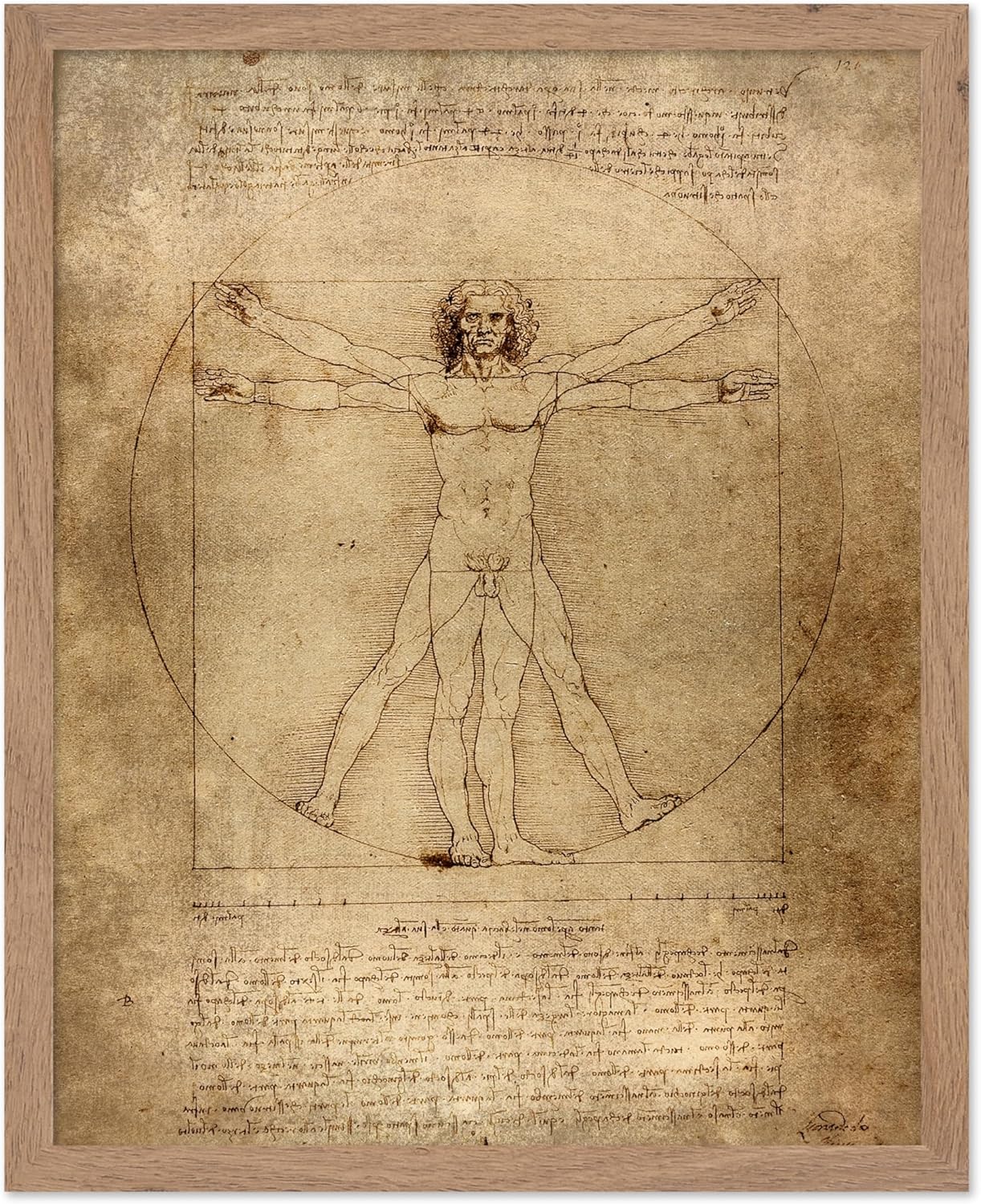 Poster Master Classic Leonardo Da Vinci Poster - Vintage Renaissance Print - Gift for Artist, Friend - Vitruvian Man, Proportion, Symmetry, Human Body - Wall Decor for Office, 11x14 Beige Framed