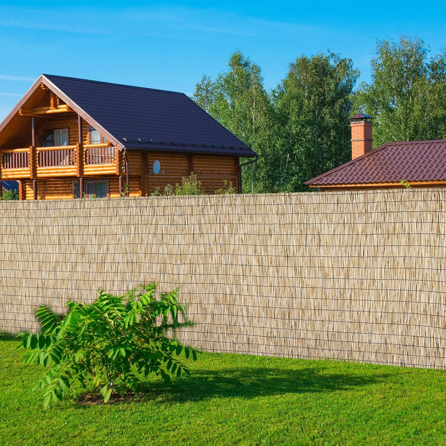 Natural 4FT X 16.4FT Reed Fencing Roll, Balcony Privacy Shade Reed Bamboo Fencing Garden Fence Border, Wind Block Sunshade Fence Screen for Outdoor Yard Patio Flower Bed Edge