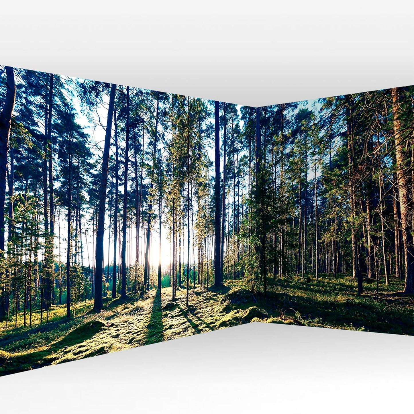 artgeist Wall Mural Peel and Stick Forest 212x98 in - XXL Self-Adhesive Corner Wallpaper Removable Large Sticker Foil Angle Wallpaper Forest Trees Sunris c-B-10185-a-a