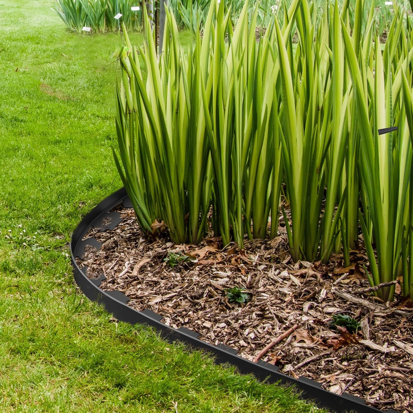 2" Tall 40ft No Dig Landscape Edging Border with 60PCS 8" Plastic Spikes & 4 PCS Connectors - Garden Lawn Edging Kit with a Shears for Landscaping, Lawn, Flower Beds and Yard